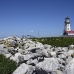 lighthouse_island_seal_machias_h_3015_can1664.jpg